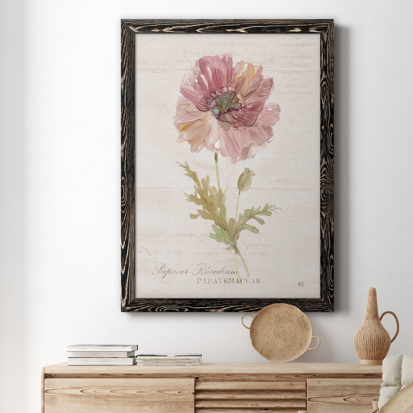 Soft Poppy - Premium Canvas Framed in Barnwood - Ready to Hang