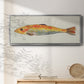 Fanciful Fish II - Floater Framed Canvas Print