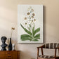 Flore Albo I - Canvas Art Print