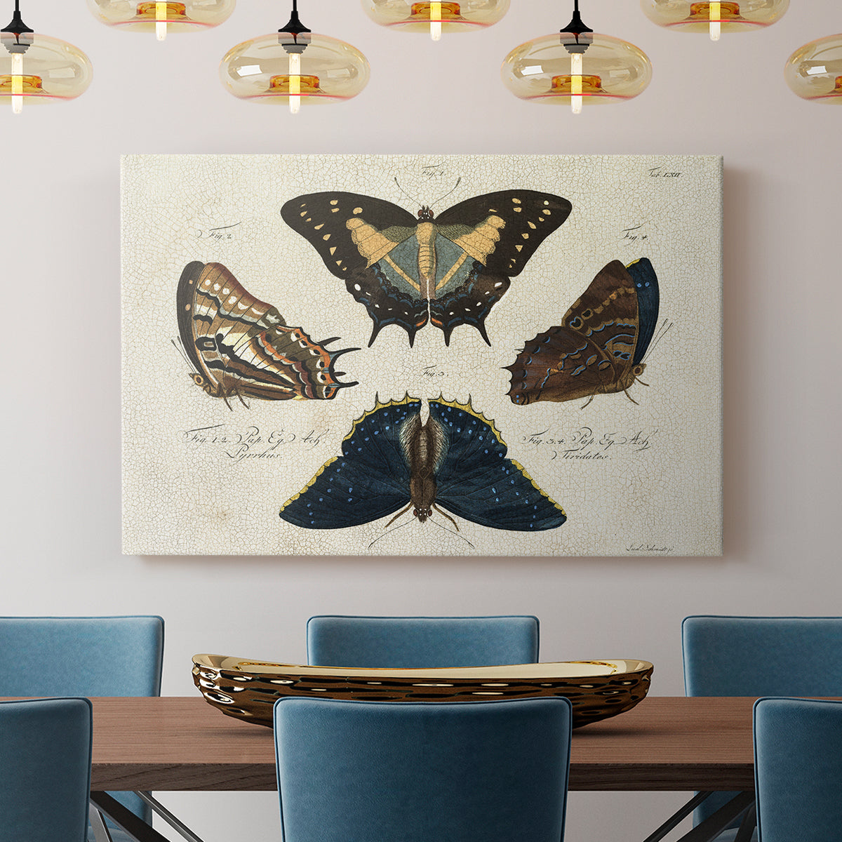 Crackled Butterflies IV - Canvas Art Print
