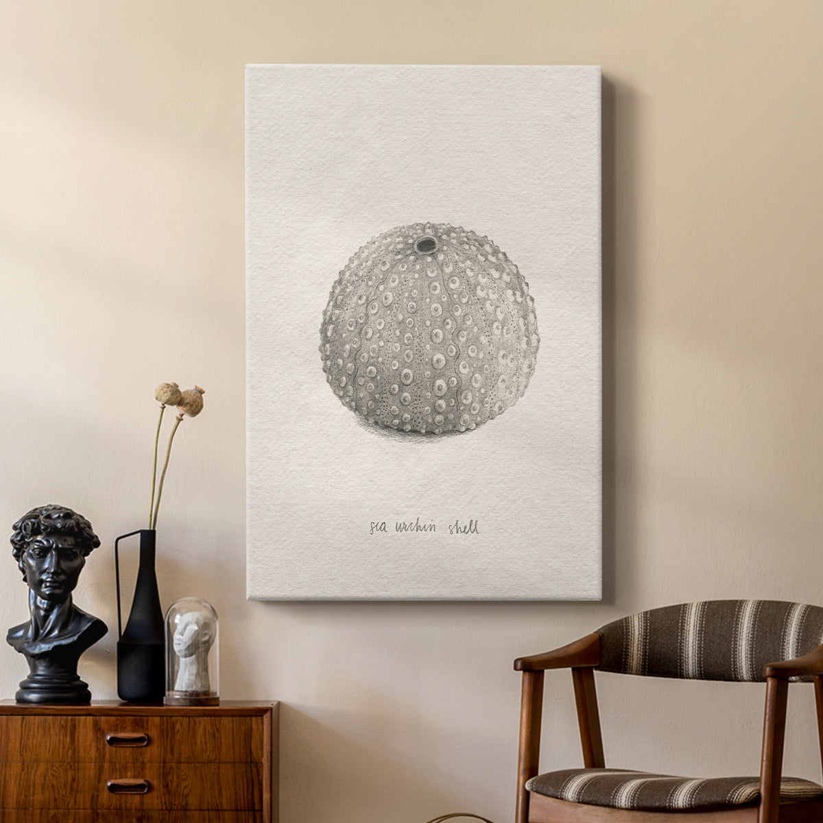 Shore Treasure Study I - Canvas Art Print