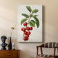 Antique Fruit II - Canvas Art Print