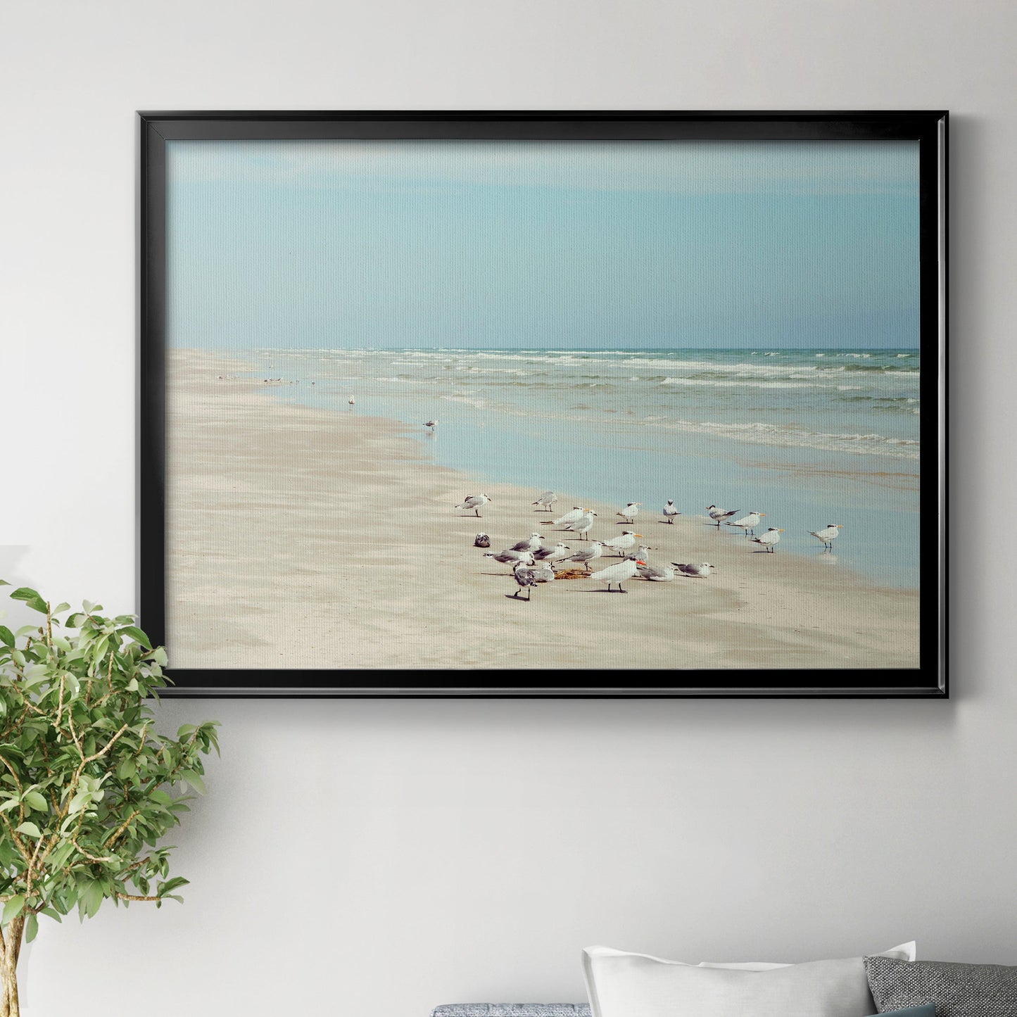 Padre Island Shore Birds Premium Classic Framed Canvas - Ready to Hang