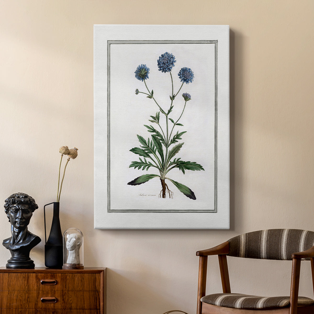 Soft Botanical II - Canvas Art Print