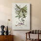 Botanical Society Ferns VI - Canvas Art Print