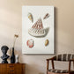 Pastel Knorr Shells VII - Canvas Art Print