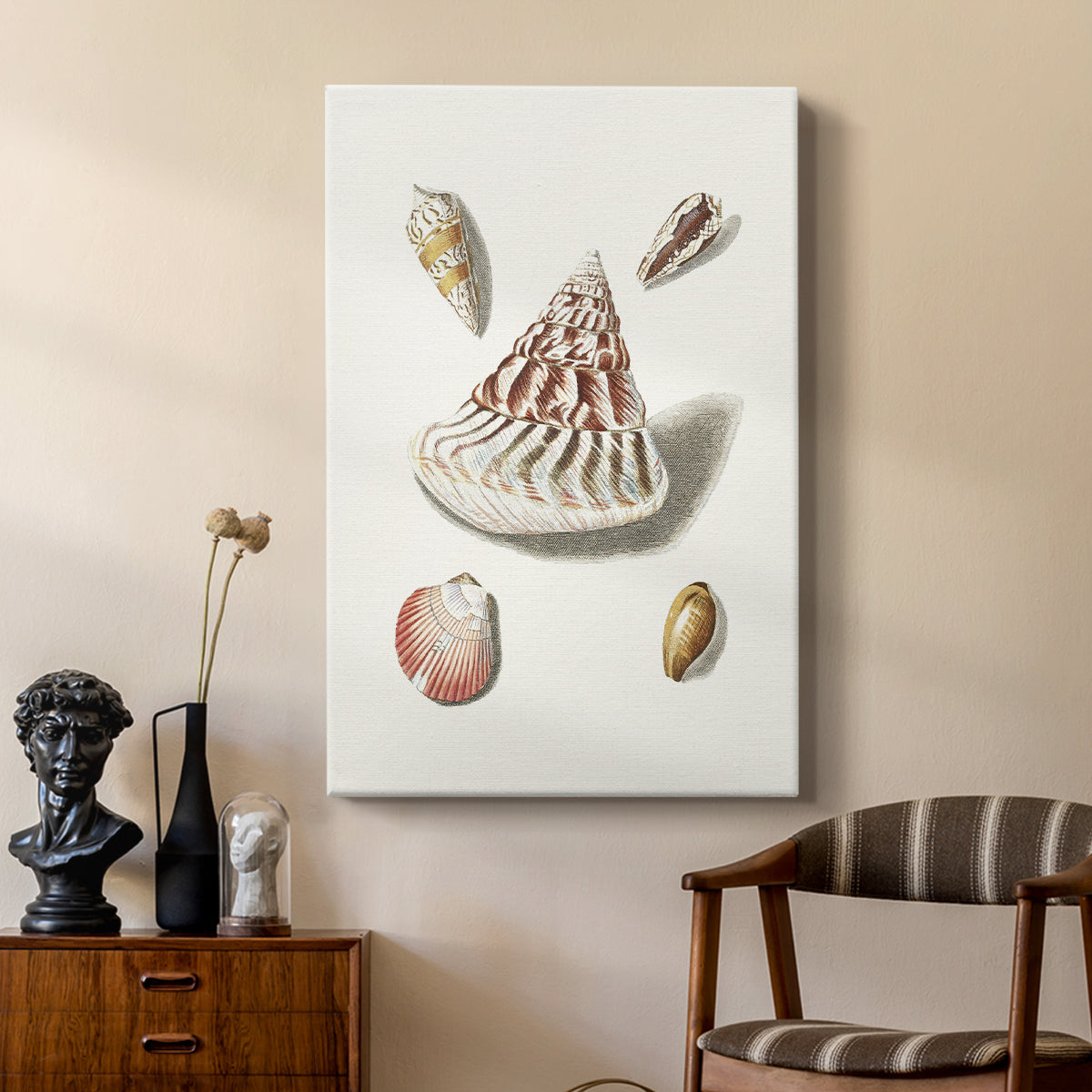 Pastel Knorr Shells VII - Canvas Art Print