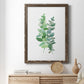 Eucalyptus II - Premium Canvas Framed in Barnwood - Ready to Hang