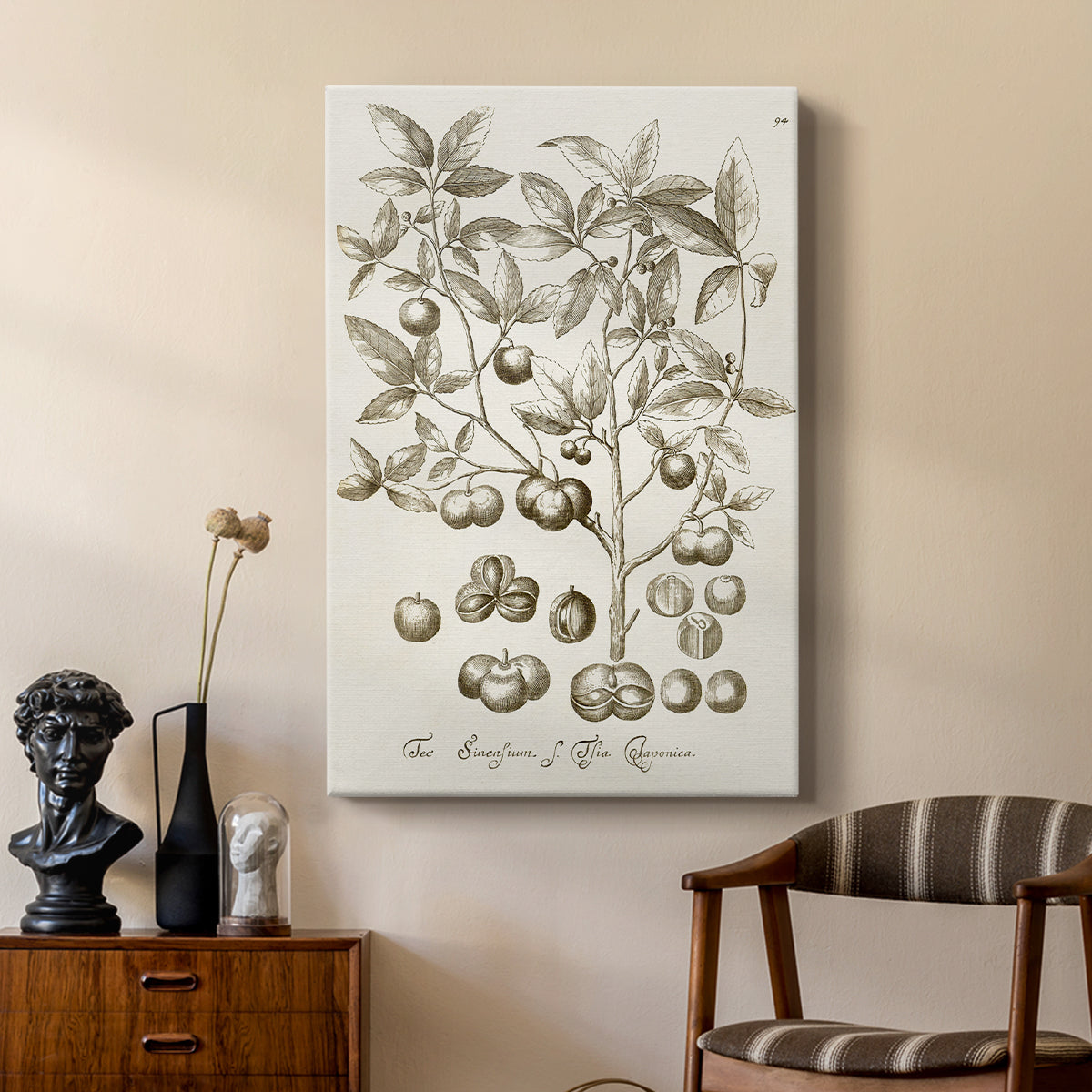 Sepia Botanical Journal II - Canvas Art Print