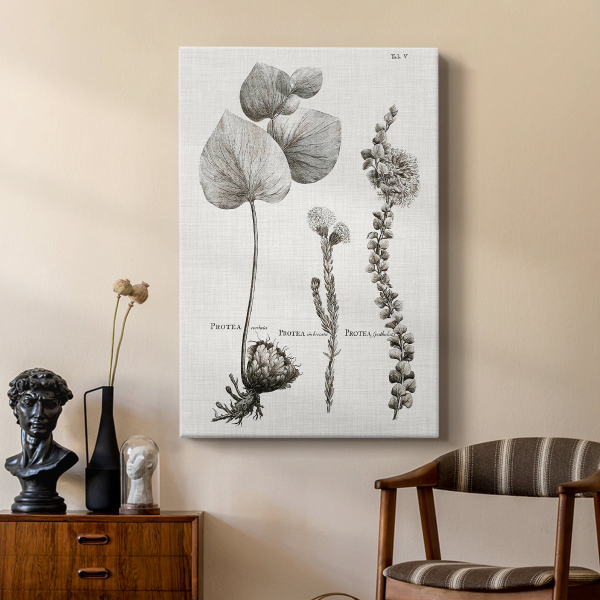 Black & White Protea on Linen II - Canvas Art Print
