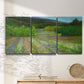 Three-panel canvas wall art featuring fresh spring meadow landscape, displayed in a minimalist living room above a console table.