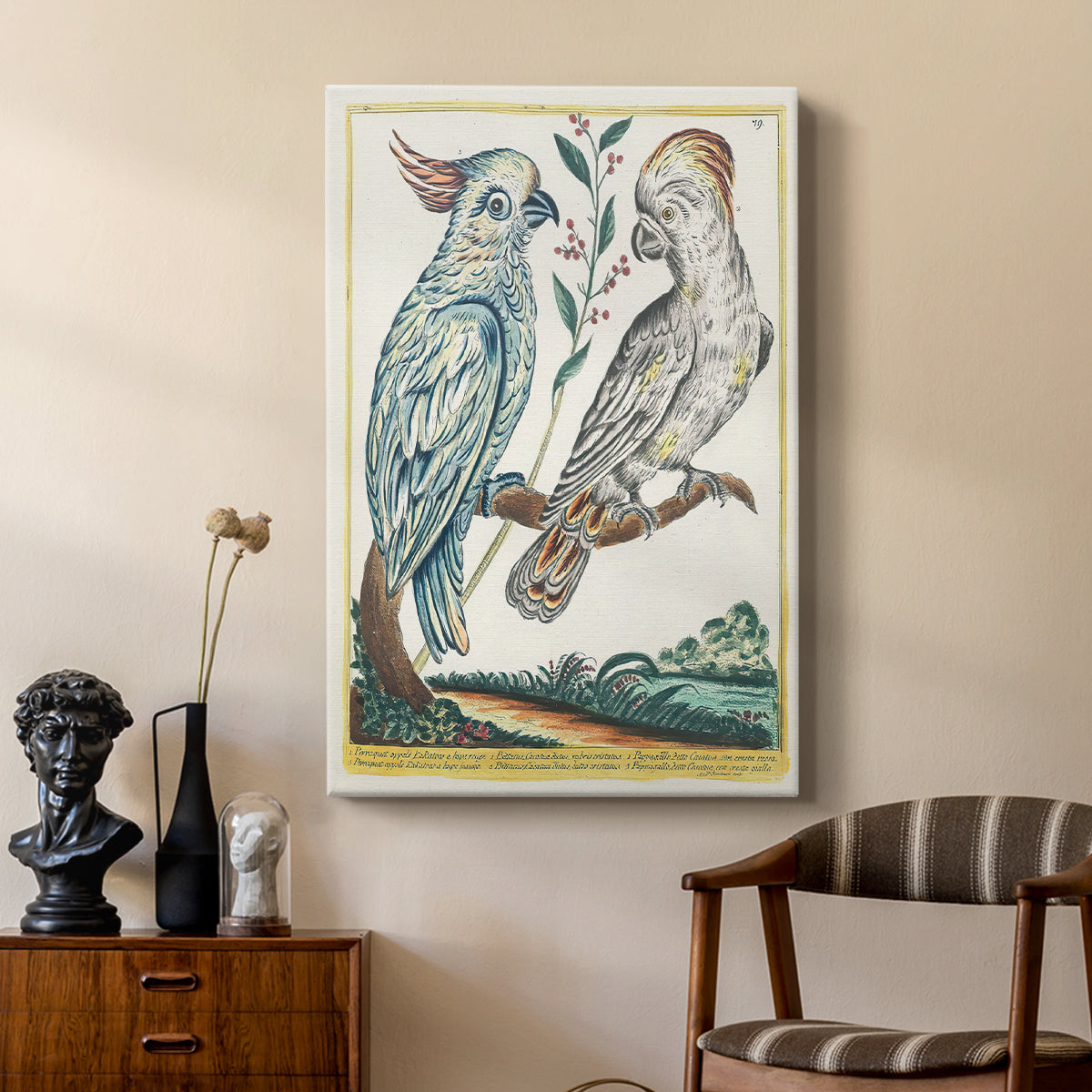 Red-Lipped and Yellow-Crested Cockatoos, 1771-1775 - Canvas Art Print