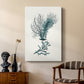 Antique Coastal Coral VI - Canvas Art Print
