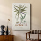 Botanical Society Ferns VIII - Canvas Art Print