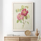 Dusty Rose II - Premium Canvas Framed in Barnwood - Ready to Hang