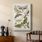 Antique Moths II - Canvas Art Print