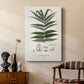 Botanical Society Ferns XII - Canvas Art Print