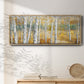 Birch Path II - Floater Framed Canvas Print