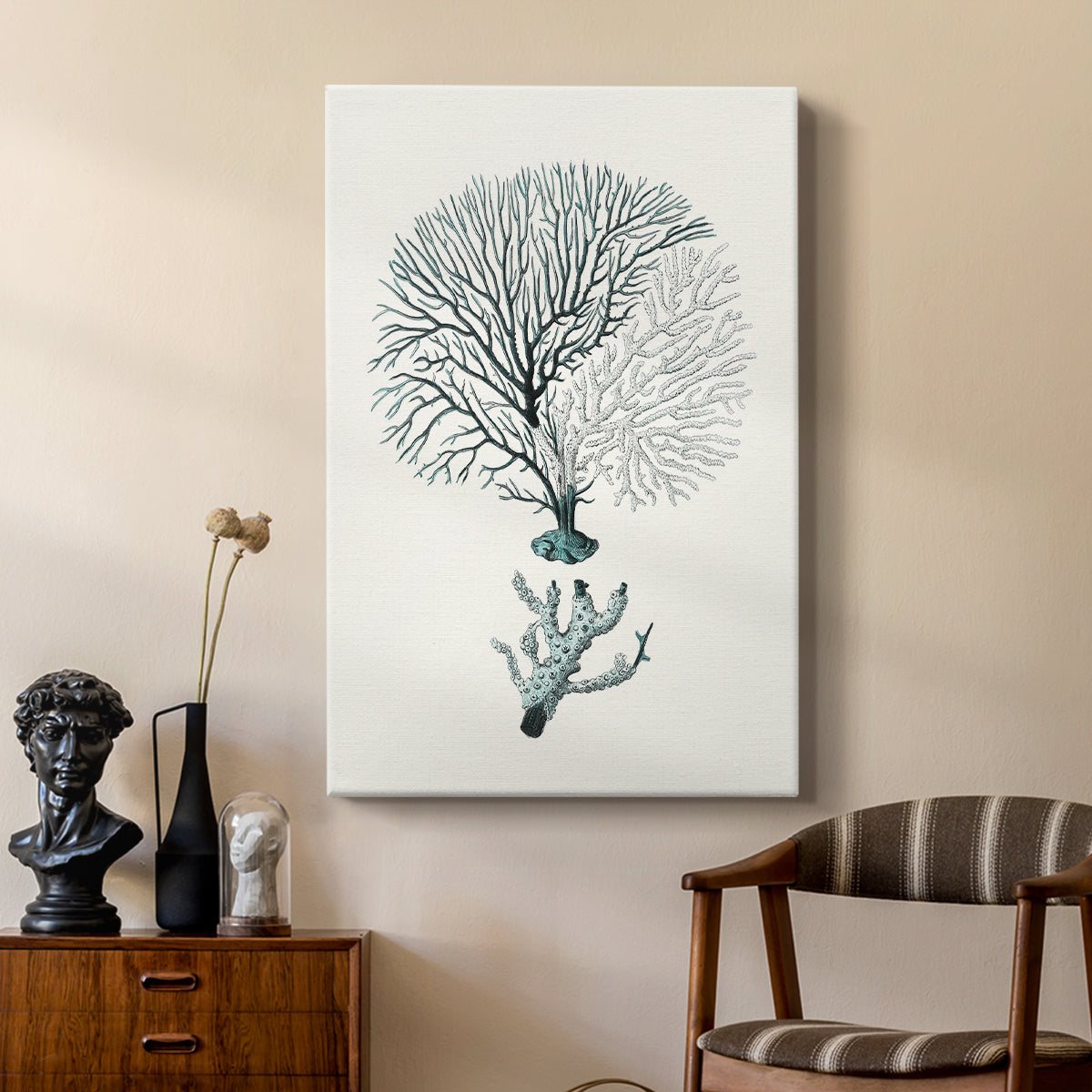 Antique Coastal Coral III - Canvas Art Print