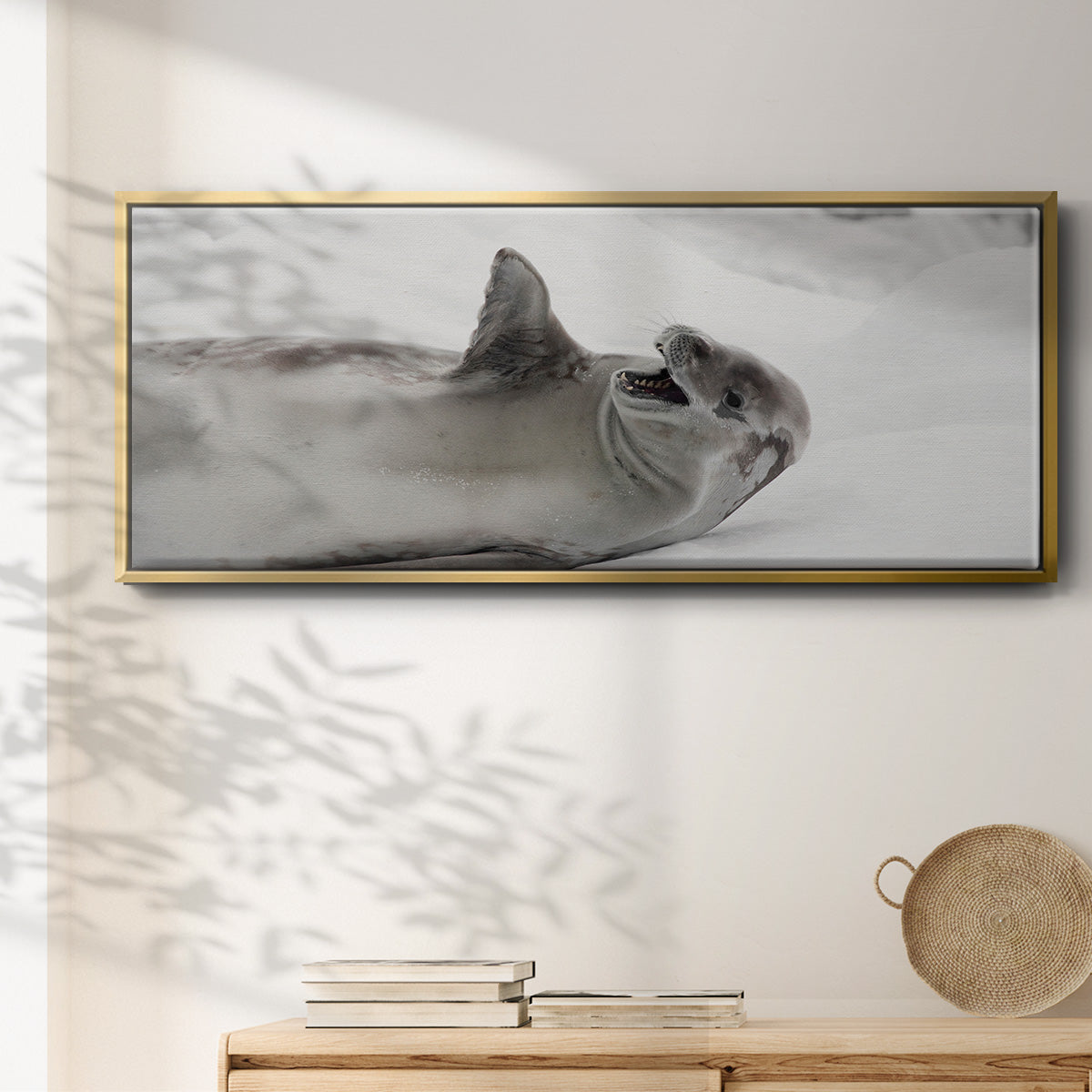 Laughing Seal - Floater Framed Canvas Print