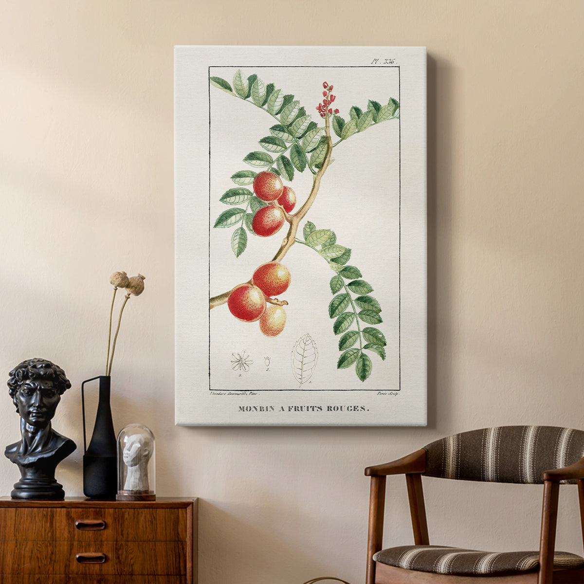 Turpin Tropical Botanicals III - Canvas Art Print