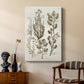 Sepia Botanical Journal VIII - Canvas Art Print