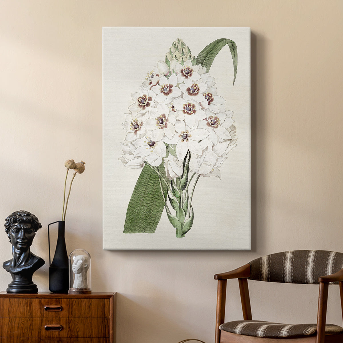 Flore Albo II - Canvas Art Print