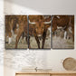 Three-panel canvas wall art featuring longhorn cattle standing together, displayed in a minimalist living room above a console table.