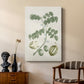 Buchoz Tropicals II - Canvas Art Print
