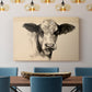 Charcoal Cow II - Canvas Art Print