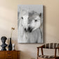 Affection I - Canvas Art Print