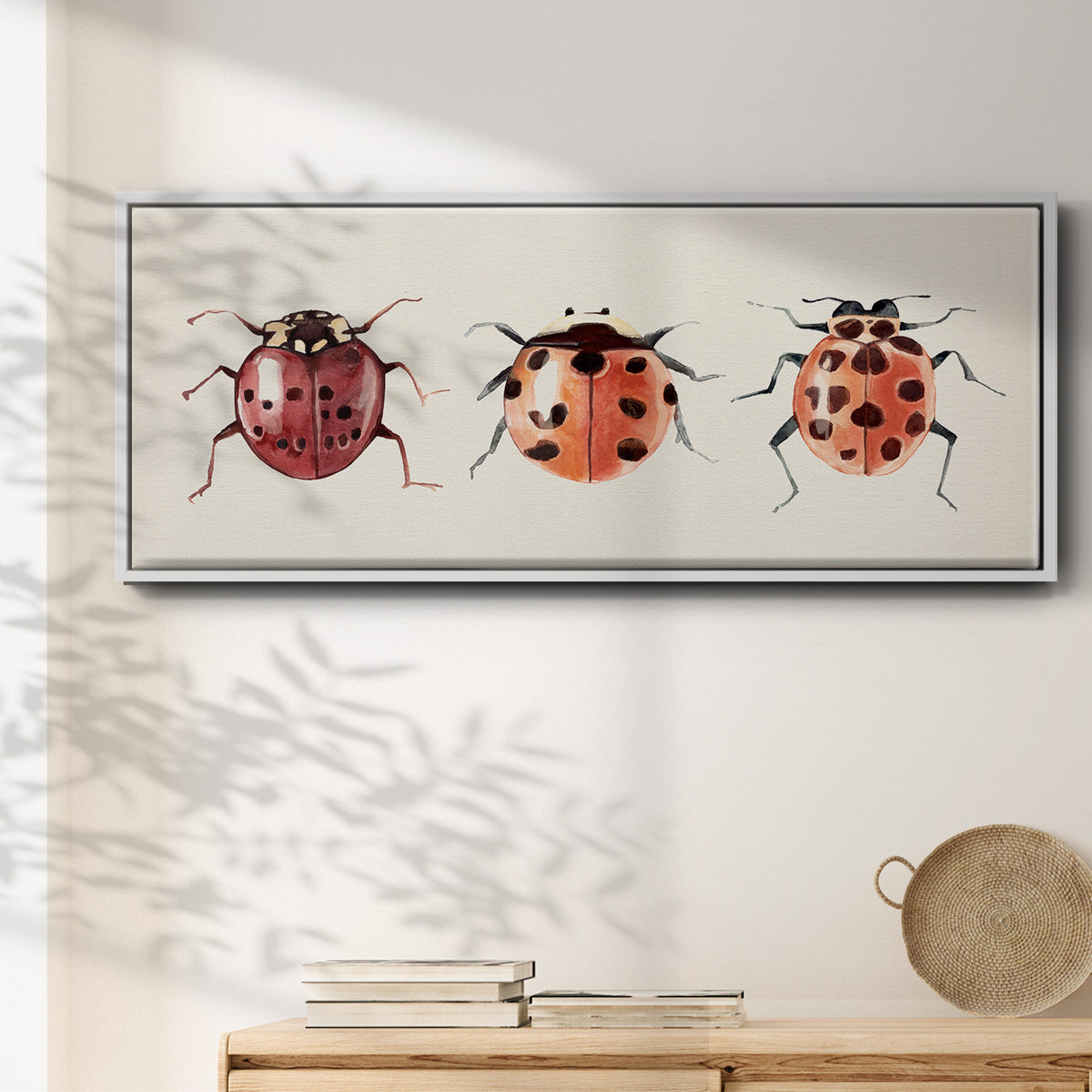 Ladybug Display I - Floater Framed Canvas Print