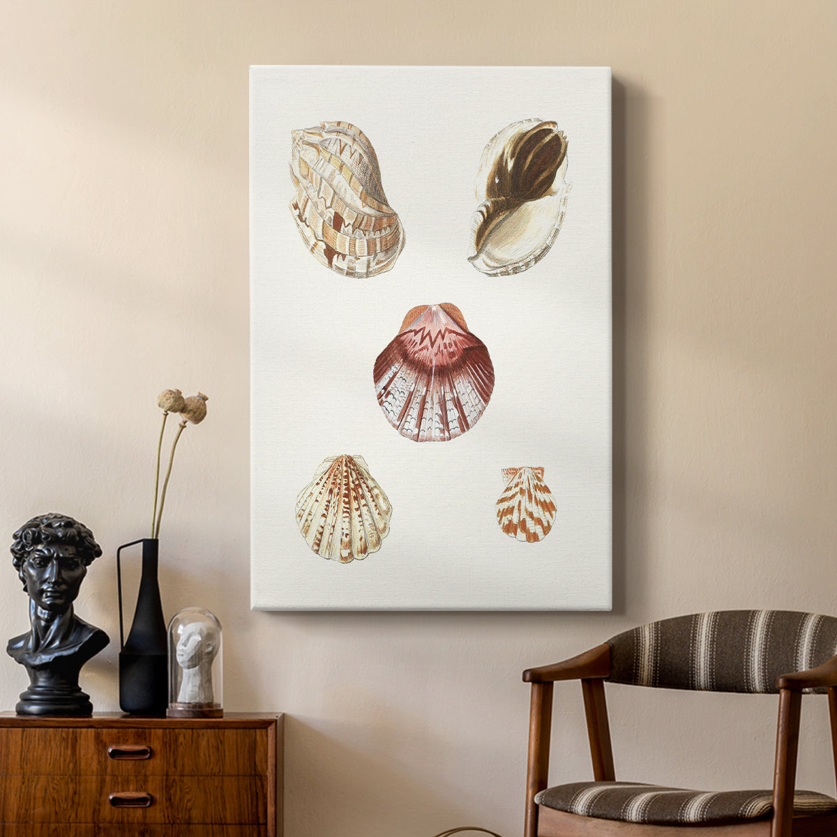 Pastel Knorr Shells V - Canvas Art Print