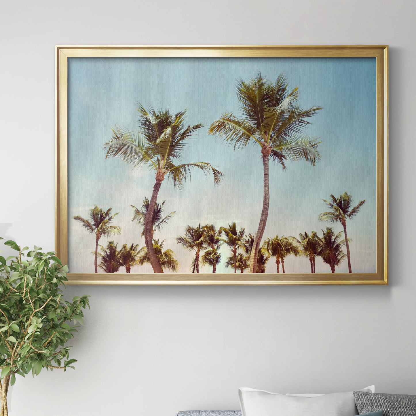 Aruba Palm - Modern Framed Canvas Print