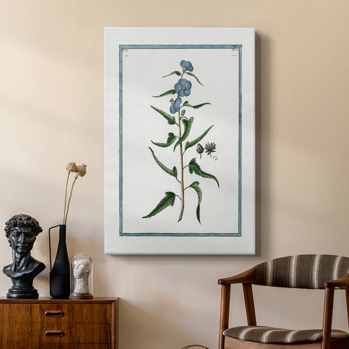 Shabby Chic Botanical I - Canvas Art Print