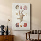 Knorr Shells & Coral II - Canvas Art Print
