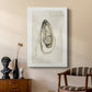 Soft Half Shell I - Canvas Art Print