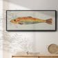 Fanciful Fish II - Floater Framed Canvas Print