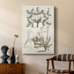 Sepia Botanical Journal VI - Canvas Art Print