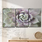 Three-panel canvas wall art featuring close up succulent photography, displayed in a minimalist living room above a console table.