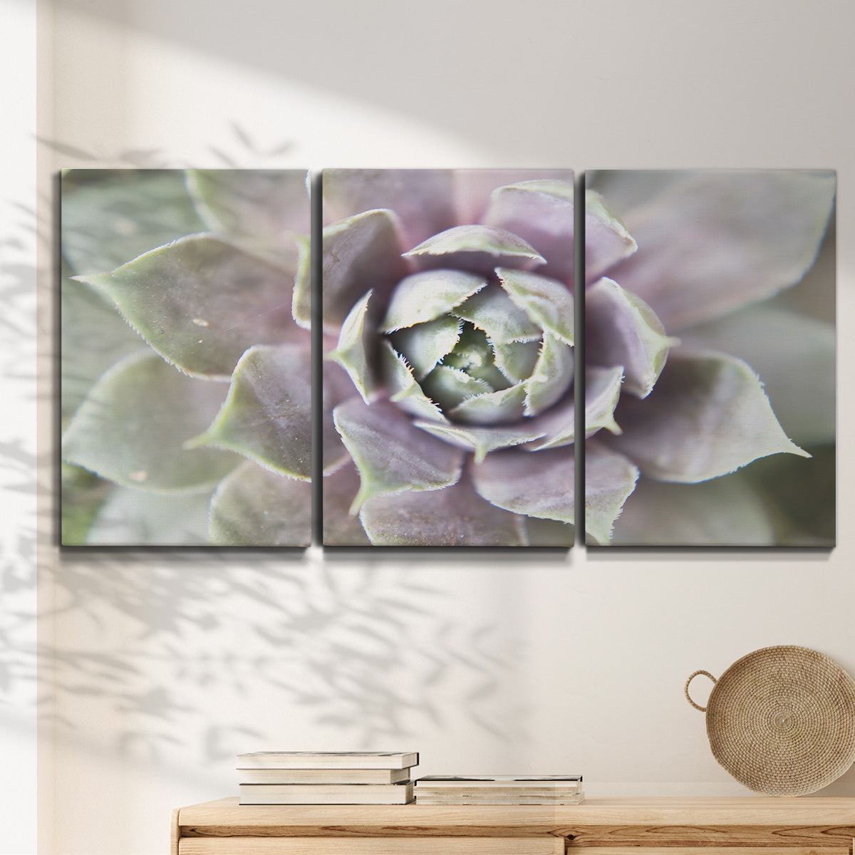 Three-panel canvas wall art featuring close up succulent photography, displayed in a minimalist living room above a console table.
