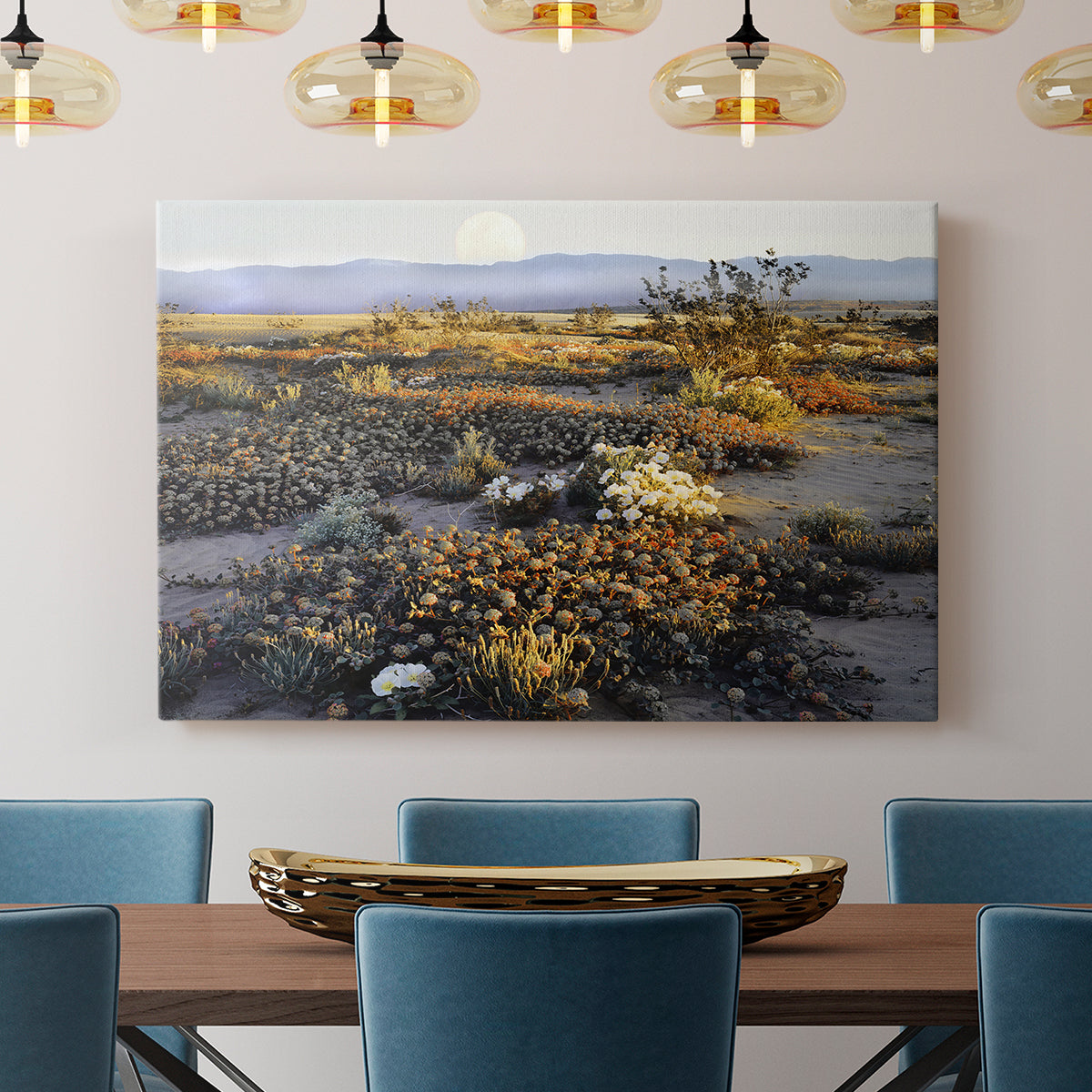 Anza Borrego Desert - Canvas Art Print
