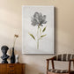Botanical Beauty II - Canvas Art Print