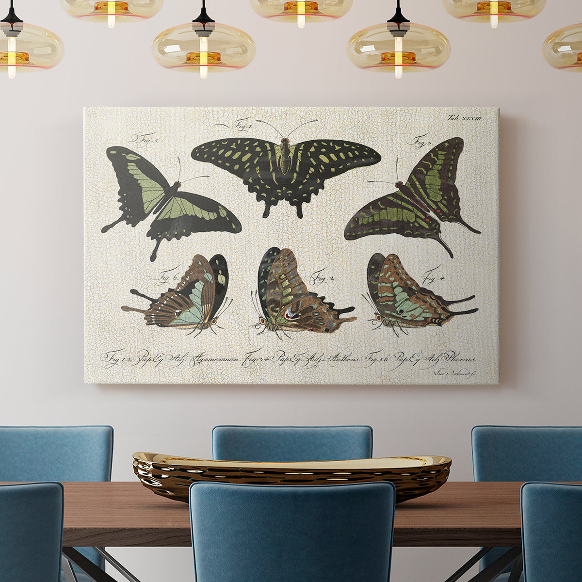 Crackled Butterflies II - Canvas Art Print