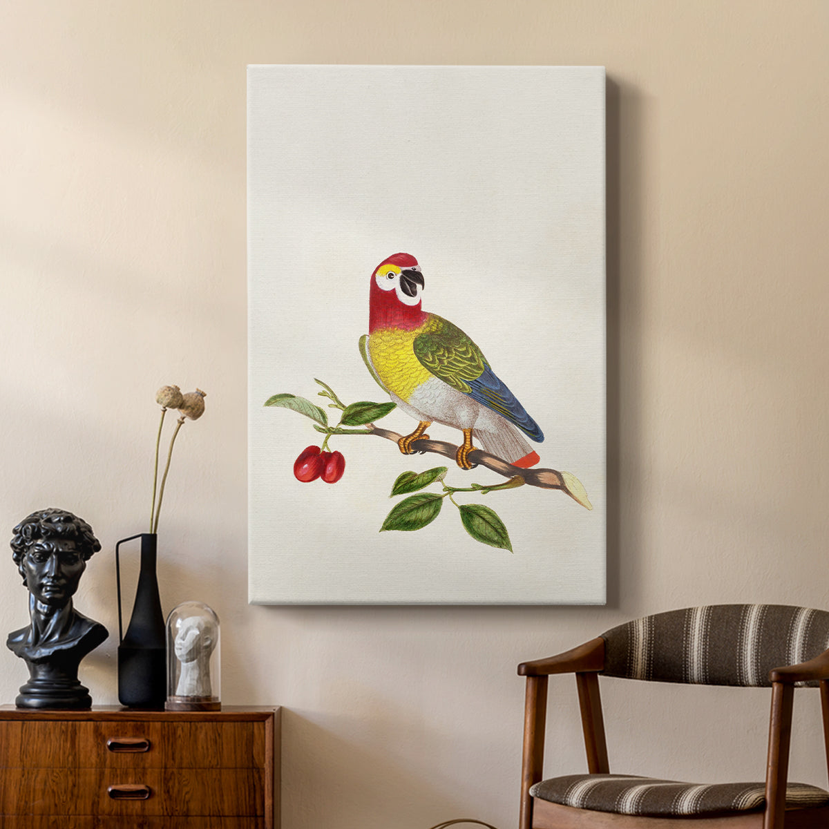 Guinea Parrot, 1796 - Canvas Art Print