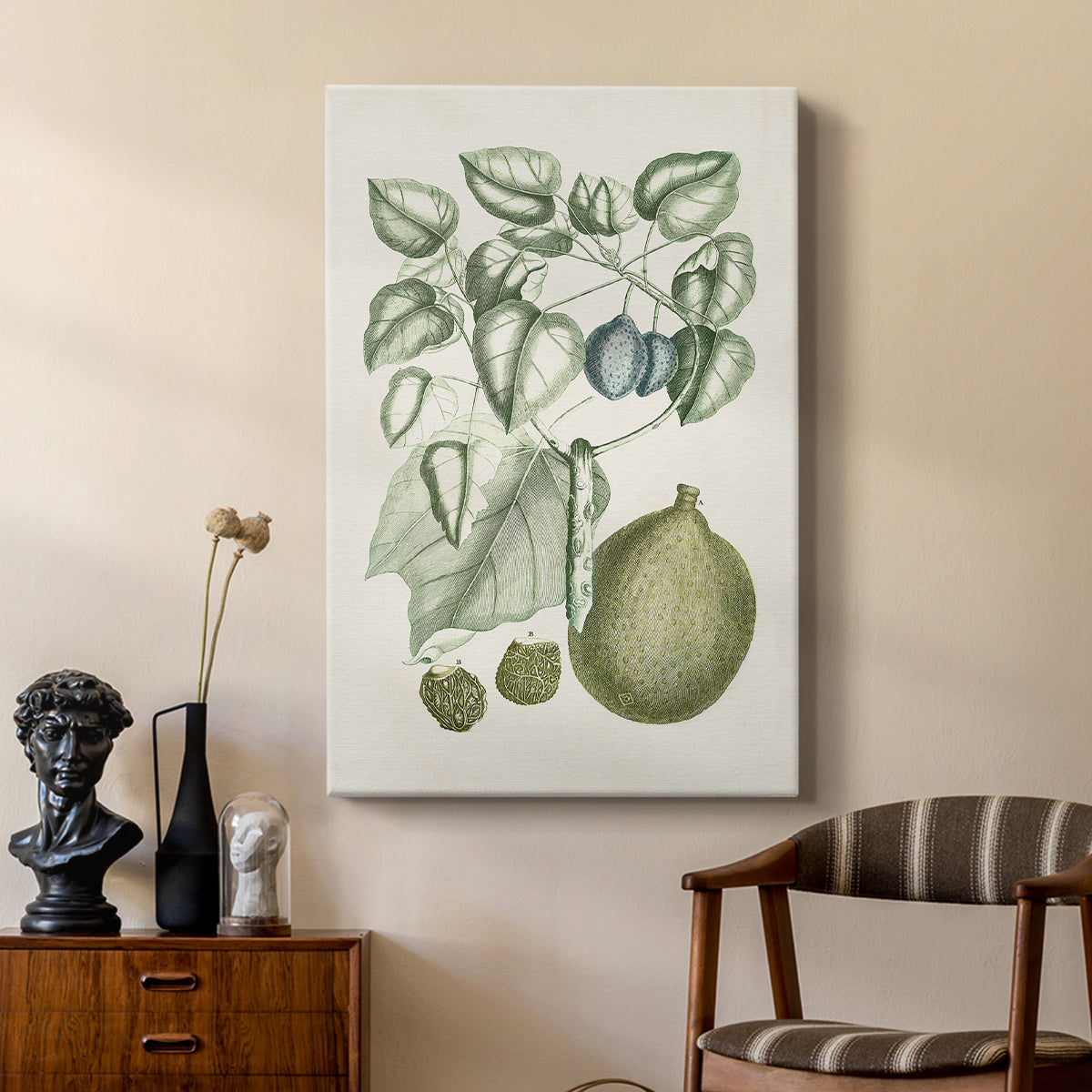 Buchoz Tropicals VIII - Canvas Art Print