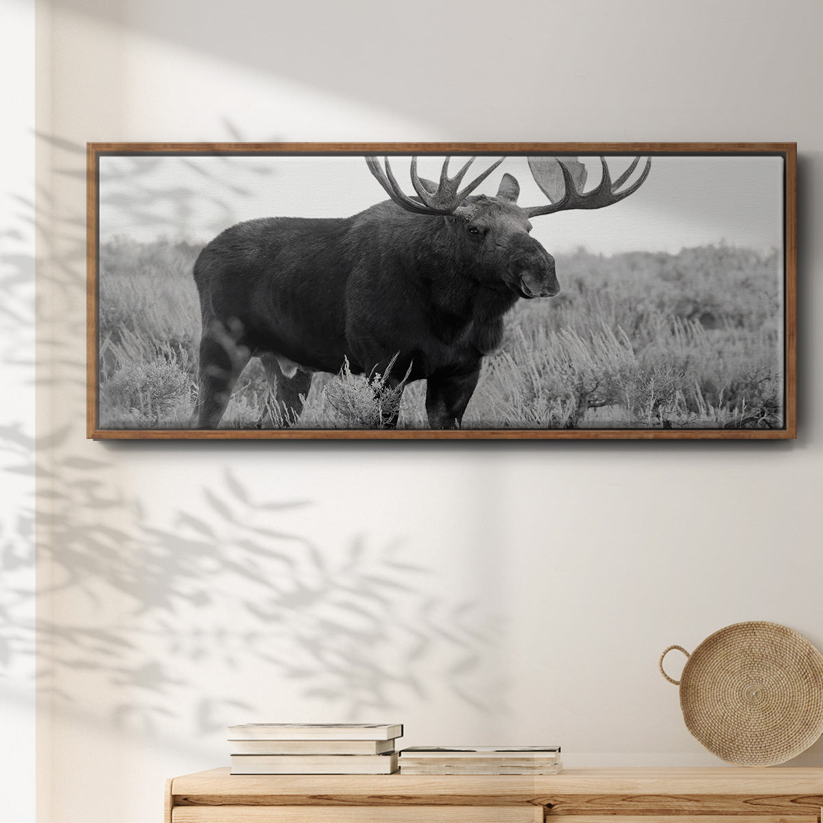Grand Teton Bull Moose - Floater Framed Canvas Print
