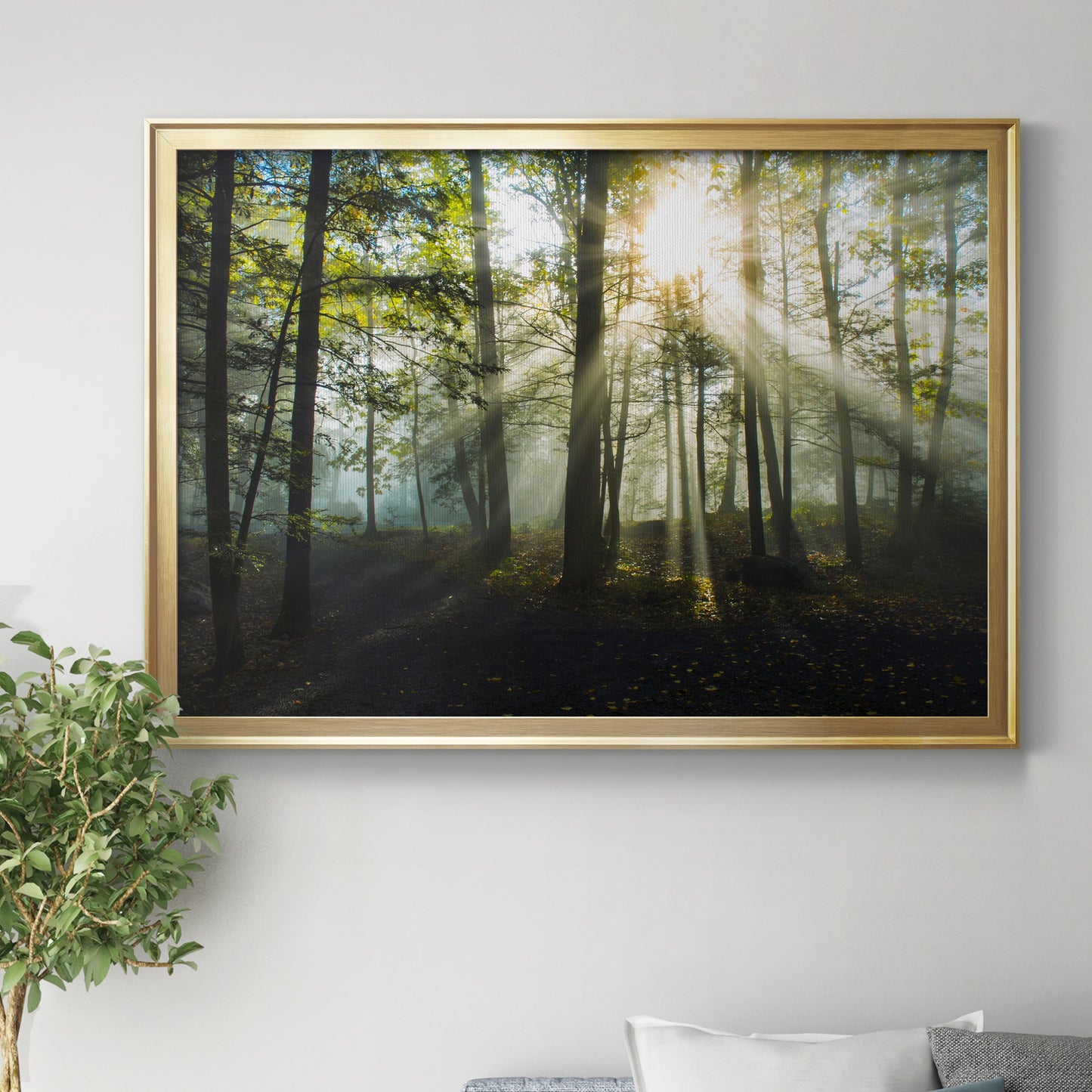 Light and Trees Premium Classic Framed Canvas - Ready to Hang