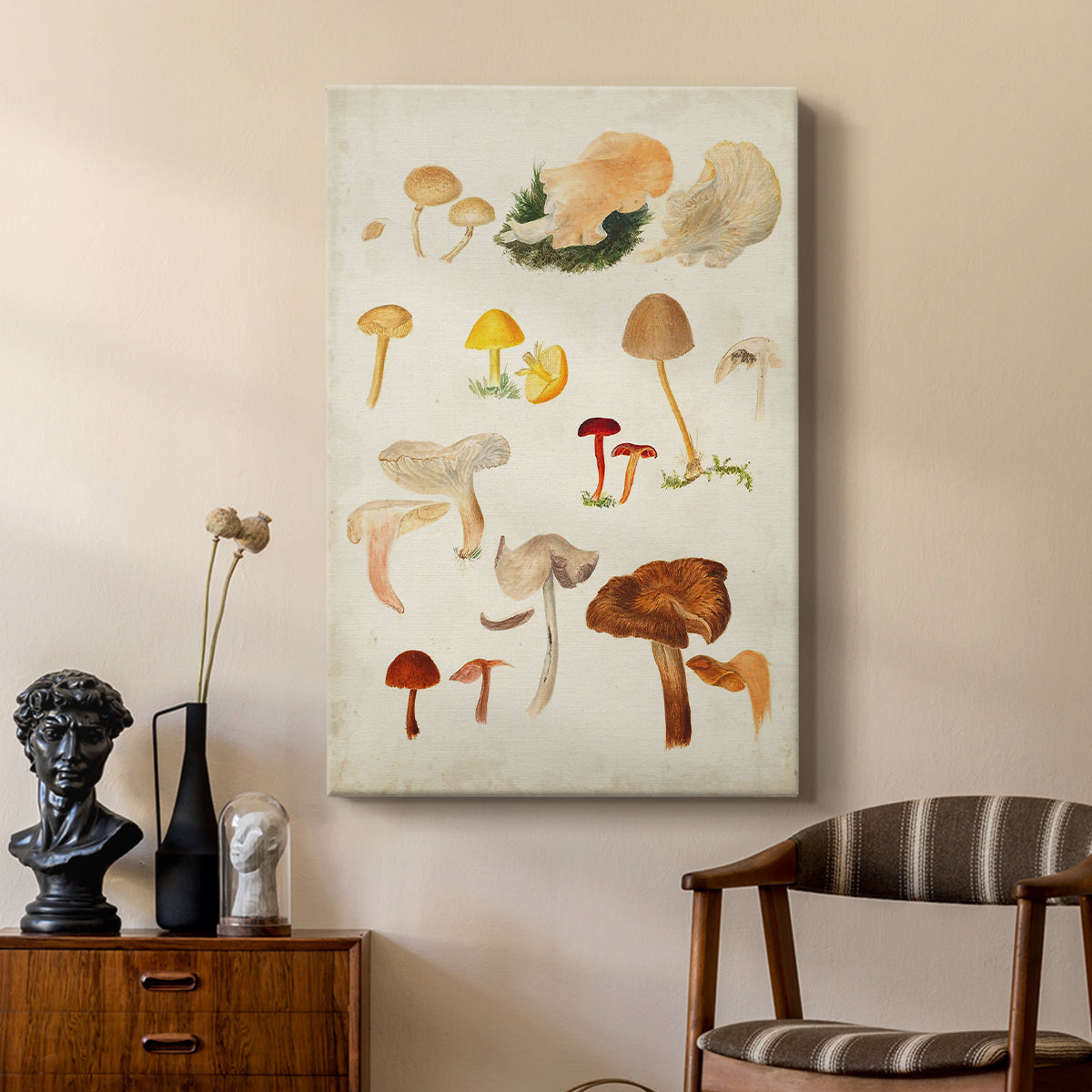 Mushroom Species XII - Canvas Art Print
