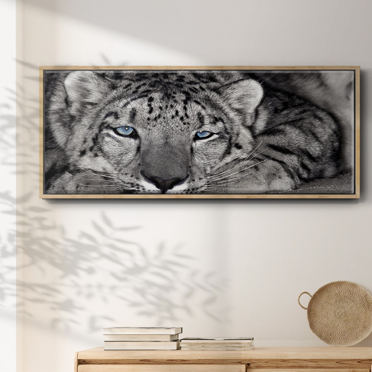 Snow Leopard Sanctuary - Floater Framed Canvas Print
